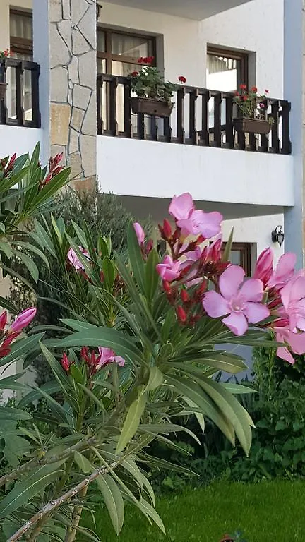 D&S - Severina Hotel Sunny Beach
